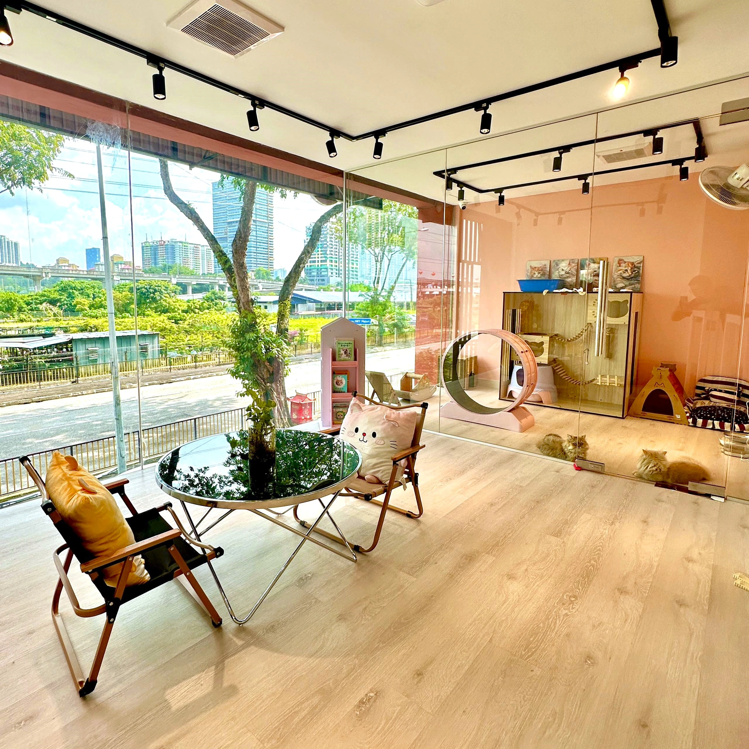 Hairy Home Playground