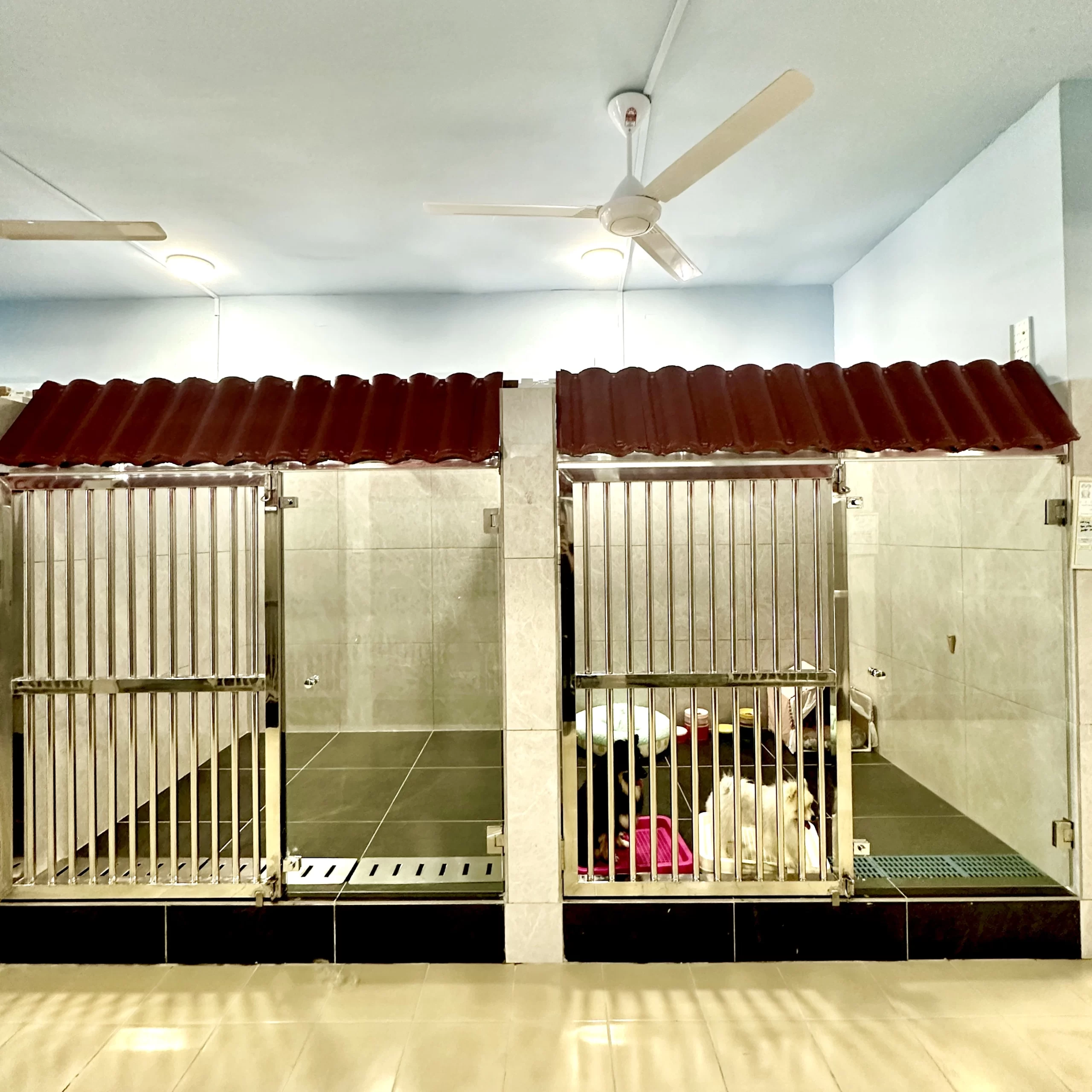 Hairy Home Dog Boarding Hotel