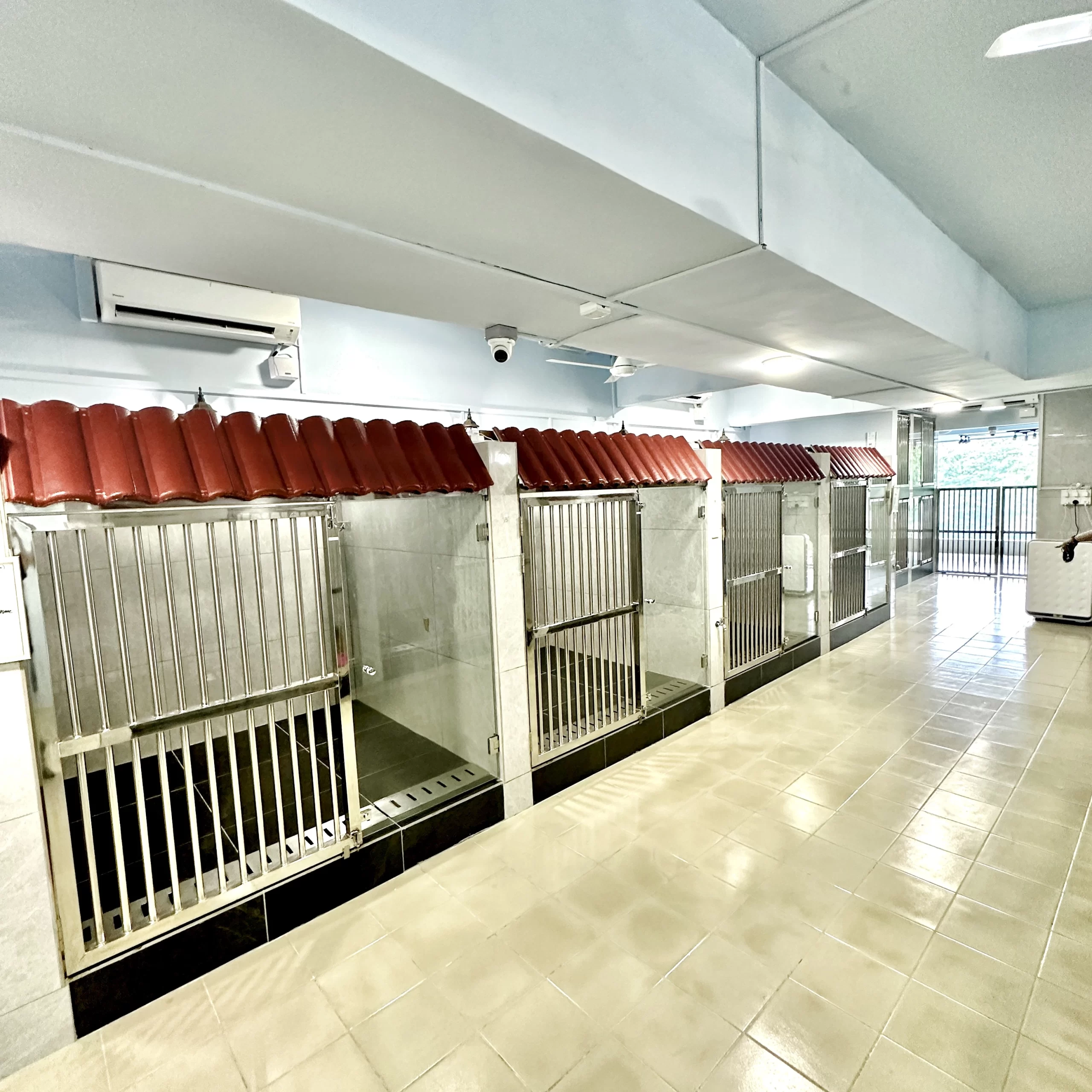 Hairy Home Dog Boarding Hotel