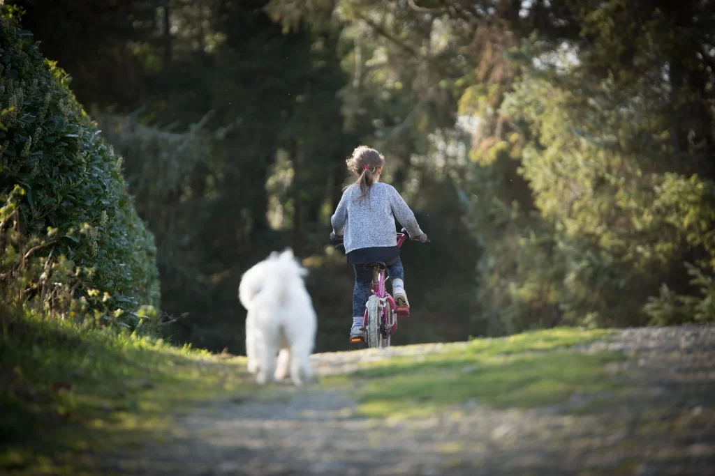 DOGS RECOGNISE YOU BY SHAPE AND MOTION DOGS RECOGNISE YOU BY SHAPE AND MOTION