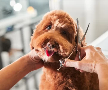 hero-grooming hero-grooming